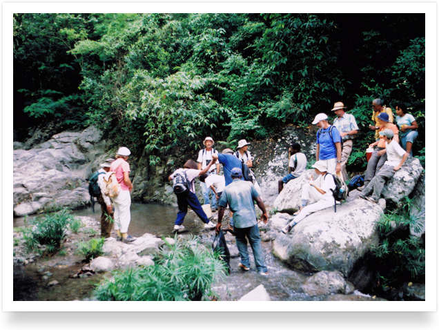 Cooling off in the stream