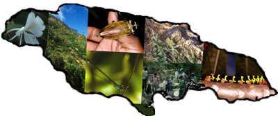 Jamaica's Biodiversity