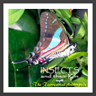 Insects and their Kin