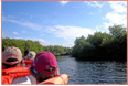 Through the mangroves
